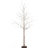 Gerson International Lawn And Outdoor Decor*6 Foot Tall Prelit Birch Tree, Warm White Leds