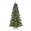 Gerson International Pre-Lit Trees*7.Ft Pre-Lit Mixed Needle Arcadia Fir Christmas Tree With Pinecones And Clear/Warm White Led Lights