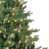 Kurt Adler Pre-Lit Trees* 4.5-Foot Pre-Lit Clear Incandescent Jackson Pine Tree