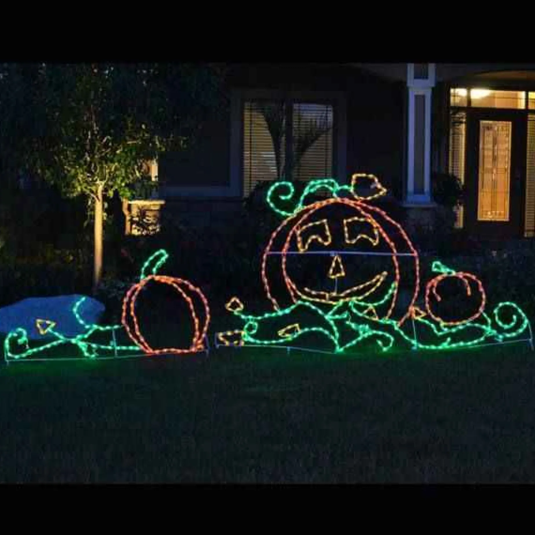 Brite Ideas Lawn & Outdoor Decor*Led Pumpkin Patch #Led-Ppatch