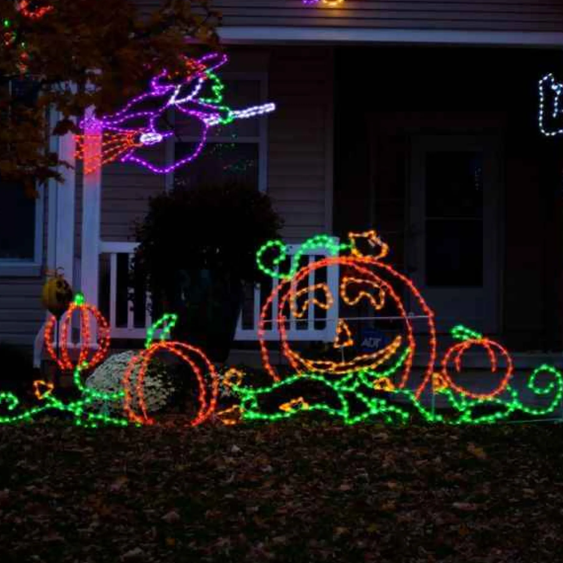 Brite Ideas Lawn & Outdoor Decor*Led Pumpkin Patch #Led-Ppatch