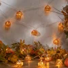 Gerson International Novelty Lights*Orange Glass Fall Pumpkin Fairy Light String, Halloween Decor