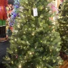 Puleo International Pre-Lit Trees* 6.5 Pre-Lit Kensington Fir Tree #114-Ksg-65Qld5K6