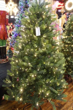 Puleo International Pre-Lit Trees* 6.5 Pre-Lit Kensington Fir Tree #114-Ksg-65Qld5K6