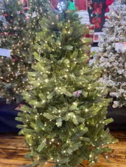 Puleo International Pre-Lit Trees* 6.5 Pre-Lit Kensington Fir Tree #114-Ksg-65Qld5K6