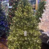 Puleo International Pre-Lit Trees* 6.5Ft Pre-Lit Real-Feel Washington Valley Spruce Quick Connect Tree With Warm White Led Lights #114-Wvg-65Qldf3K10