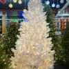 Puleo International Pre-Lit Trees* 6.5Ft Pre-Lit Evergreen Spruce Shiny White Quick Connect Tree With Multi-Function Warm White To Multi Led Lights #114-Esw-65Qldf3K5