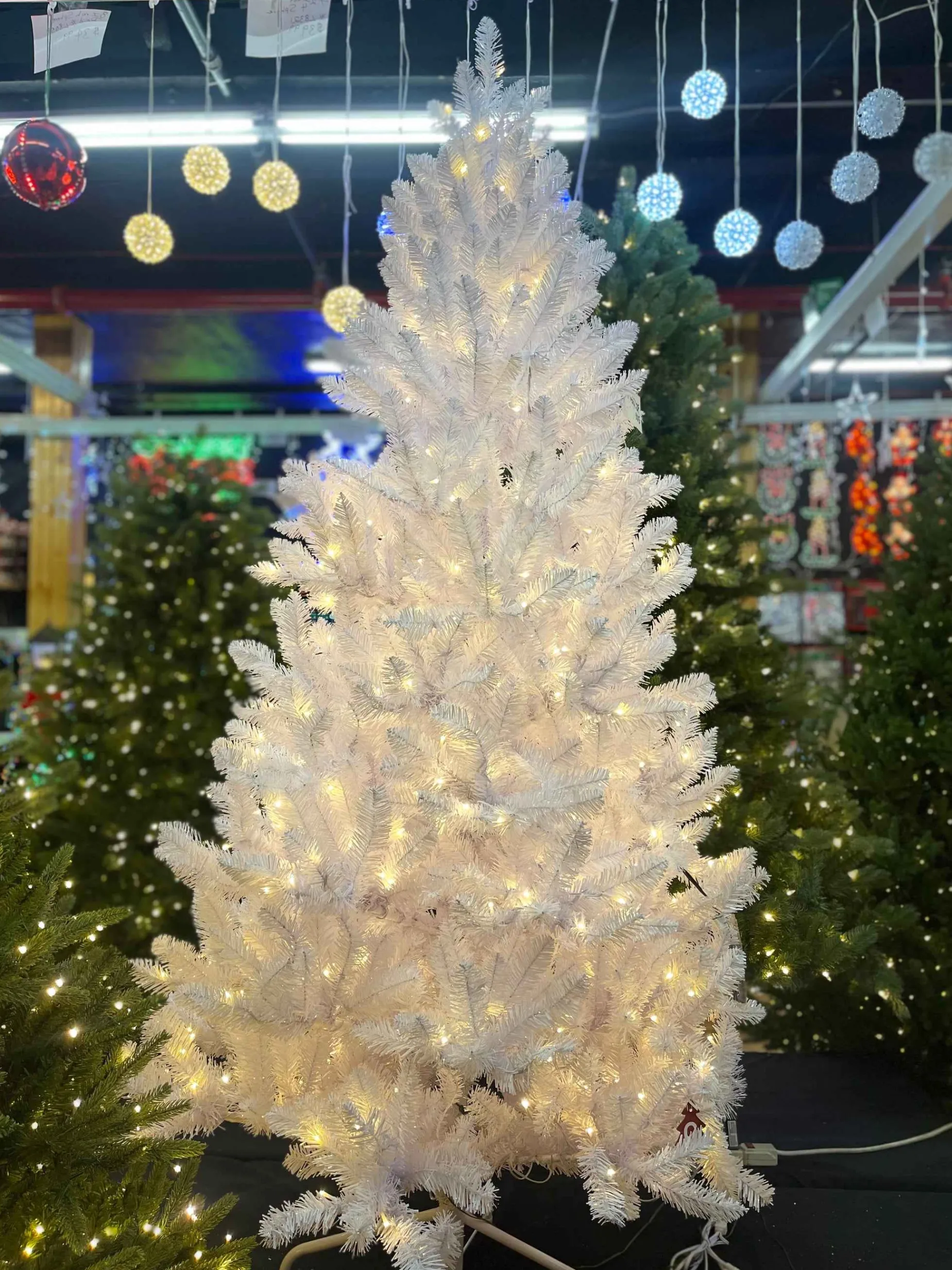 Puleo International Pre-Lit Trees* 6.5Ft Pre-Lit Evergreen Spruce Shiny White Quick Connect Tree With Multi-Function Warm White To Multi Led Lights #114-Esw-65Qldf3K5