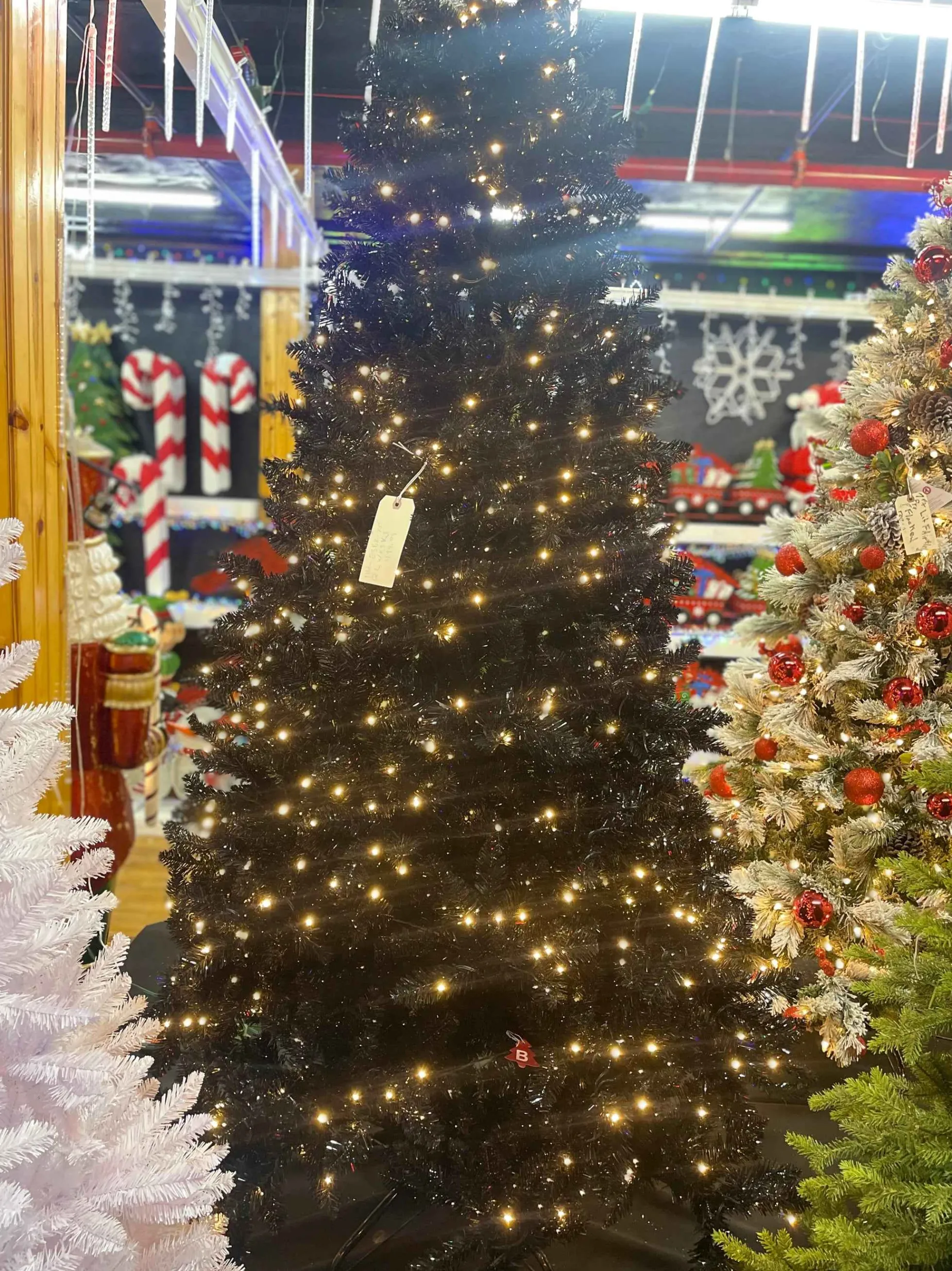 Puleo International Pre-Lit Trees* 7.5Ft Shiny Black Evergreen Spruce Tree In Ww #114-Esbk-75Qlwf3K7