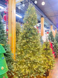 Puleo International Pre-Lit Trees* 9Ft Slim Washington Valley Spruce Tree Ww #114-Wvgsl-90Qf5Lw9