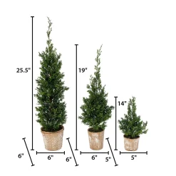 Gerson International Tabletop Items*Set Of 3 Slim Potted Christmas Trees