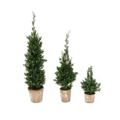 Gerson International Tabletop Items*Set Of 3 Slim Potted Christmas Trees